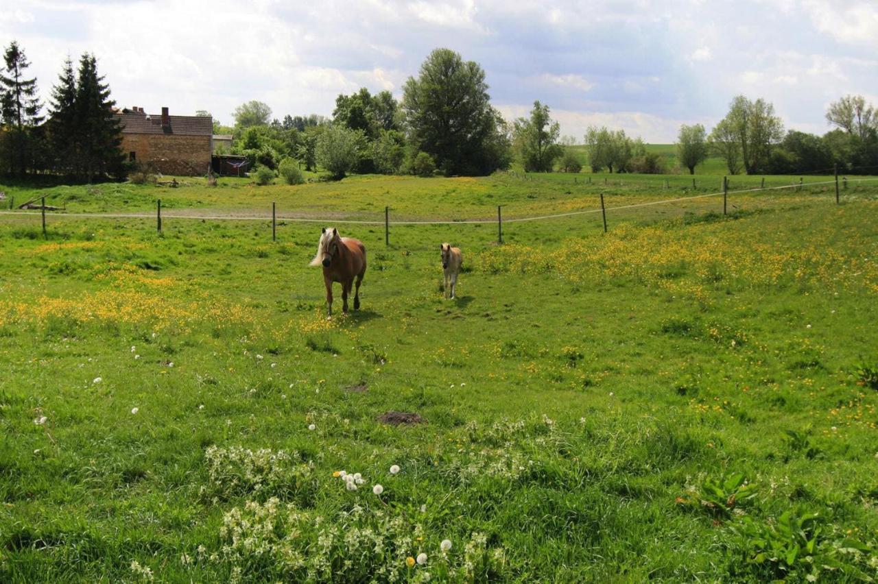 Vacation Home, Zahrensdorf Kültér fotó